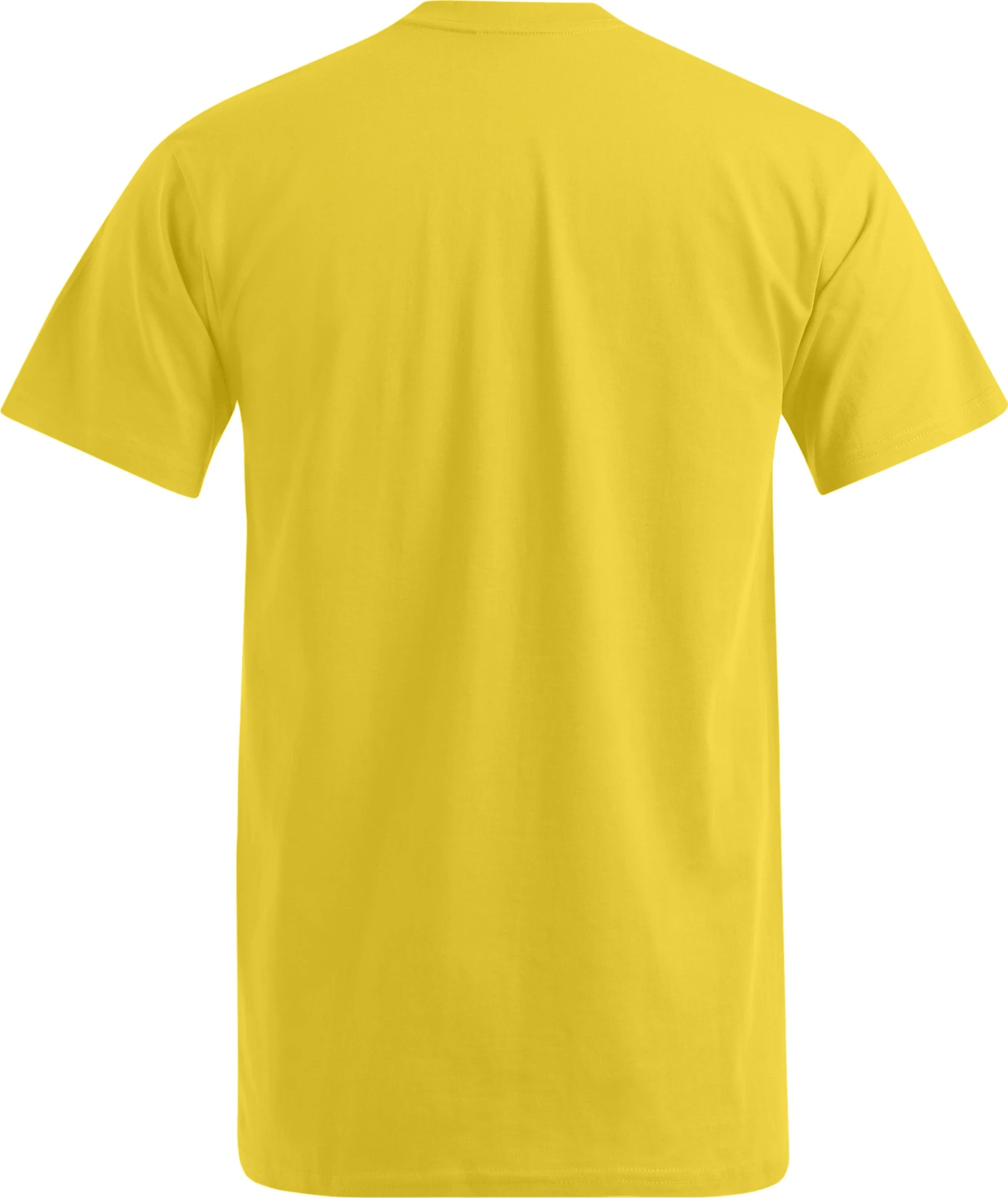 promodoro-3025-premium-v-neck-t-shirt-gold-back-6 Promodoro Men's Premium V-Neck-T