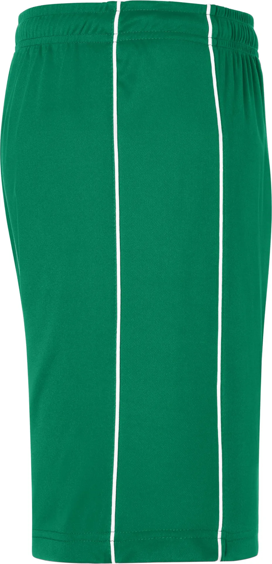 James & Nicholson Basic Team Shorts (387)