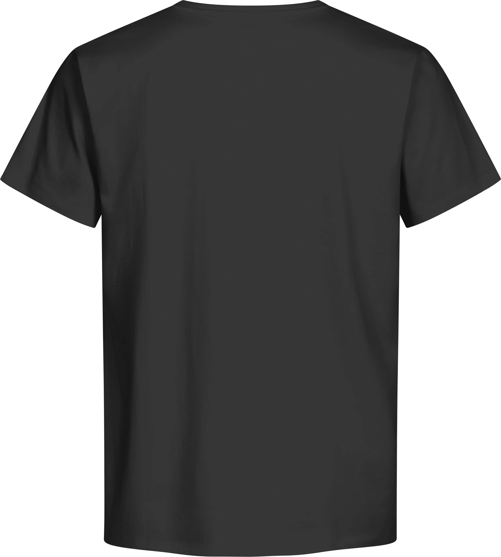 promodoro-3090-mens-premium-t-shirt-organic-charcoal-back-6 Promodoro Men´s Premium-T Organic