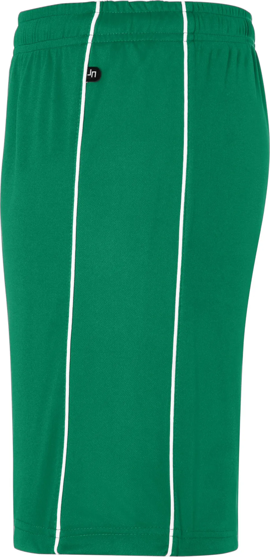 James & Nicholson Basic Team Shorts (387)