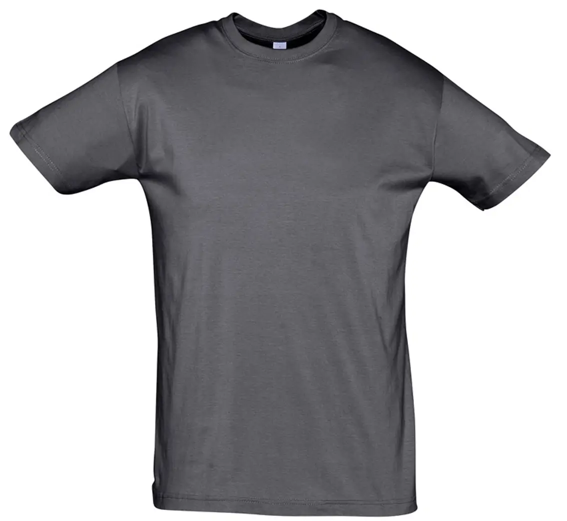 SOL'S Regent T-Shirt