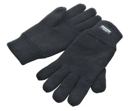 Result Thinsulate Gloves