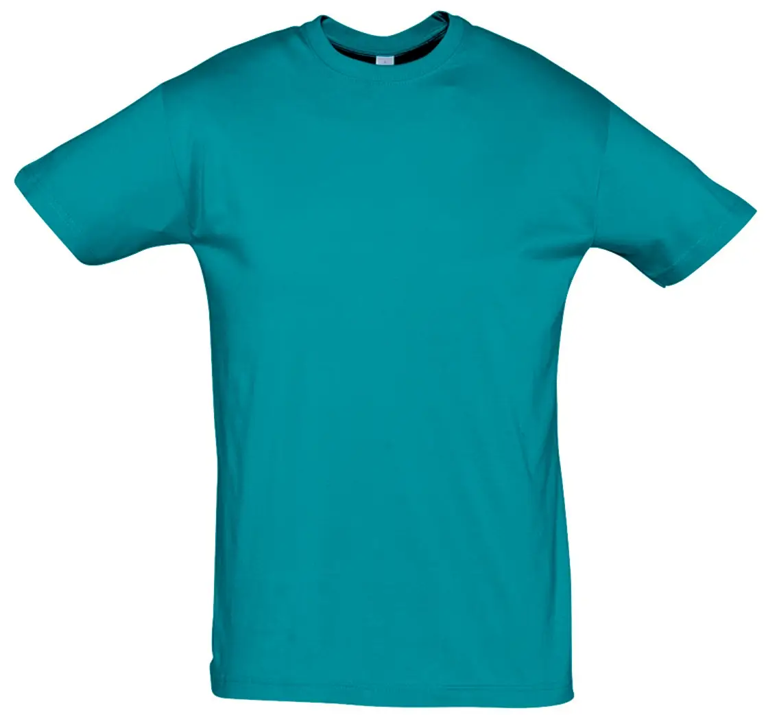 SOL'S Regent T-Shirt