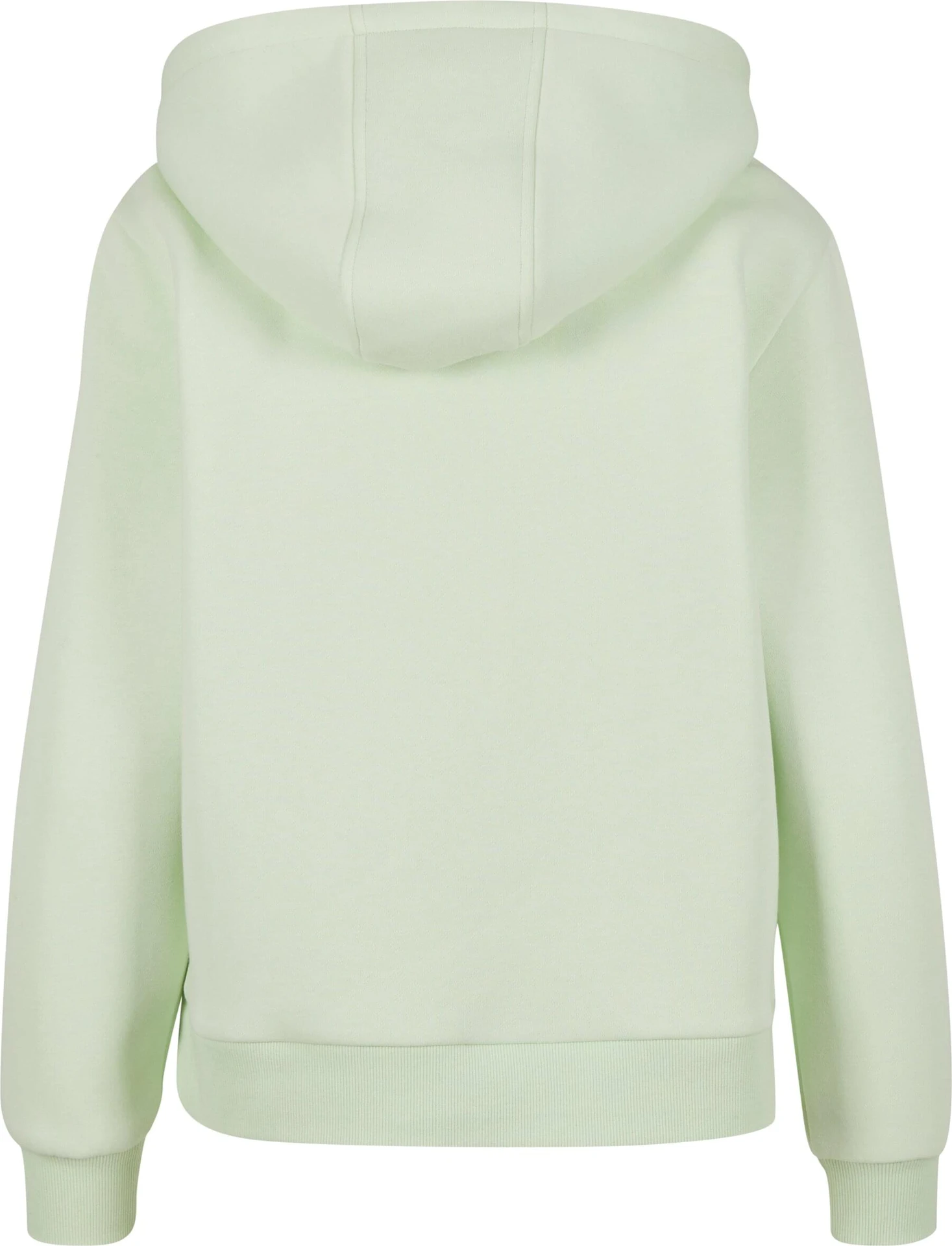 BYB-BY213-ladies-everyday-hoody-lightmint-back-7 Build Your Brand Ladies Everyday Hoody