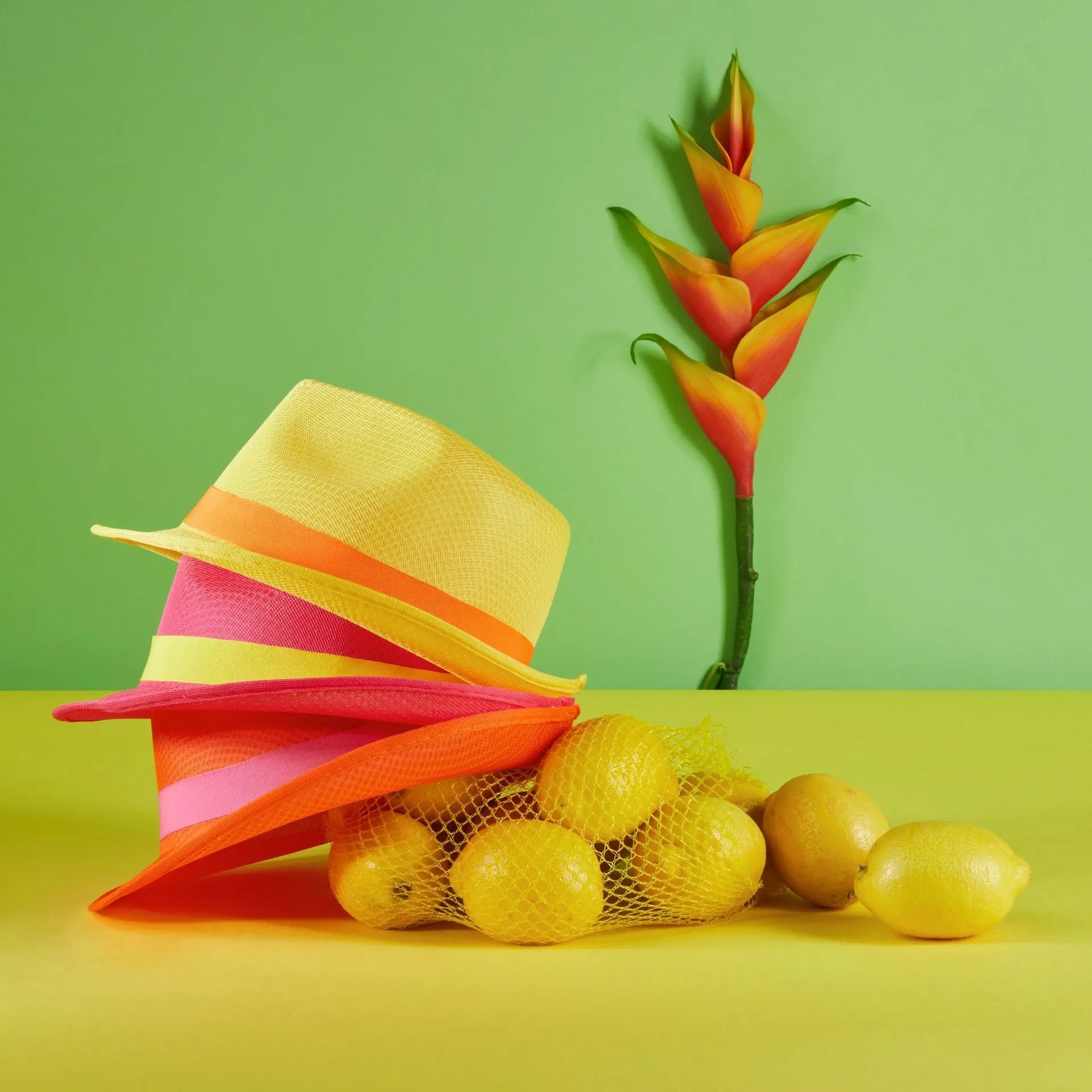 daiber Ribbon For Promotion Hat